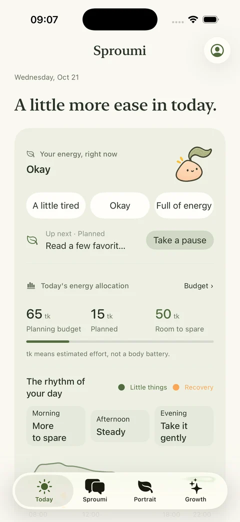 Actual iPhone Today screen: state, budget, breathing room and reference energy curve