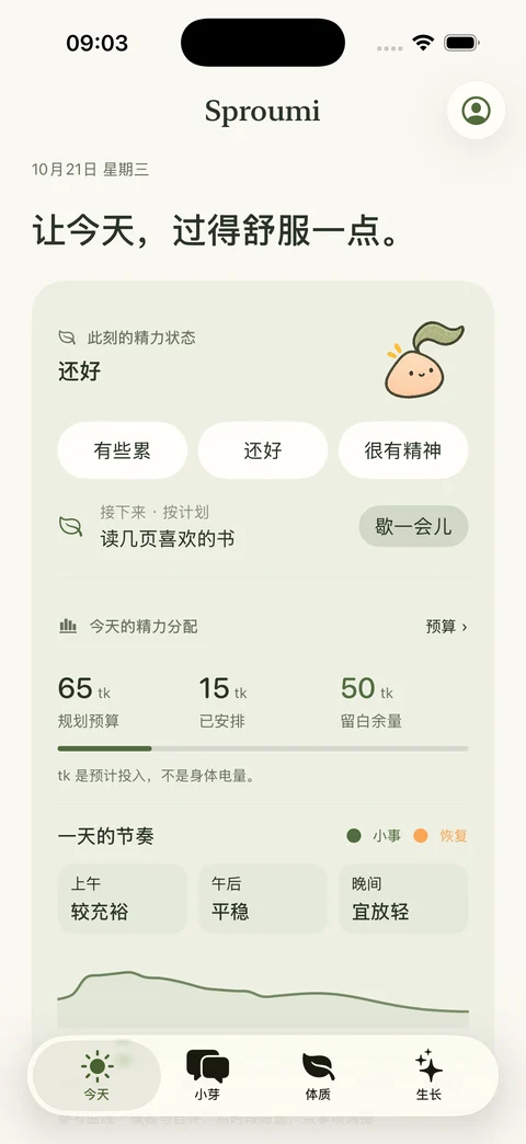 iPhone 首页实际界面:状态、预算、留白与参考精力曲线